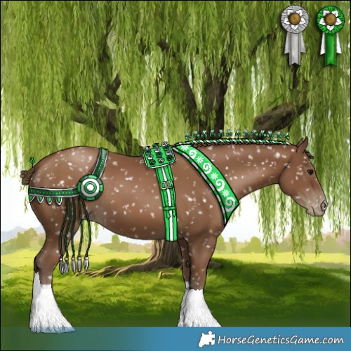 Horse Color:Gray Black Pearl Appaloosa