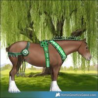 Horse Color:Gray Black Pearl