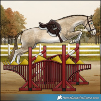 Horse Color:Buckskin Pearl 