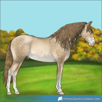 Horse Color:Buckskin Pearl 