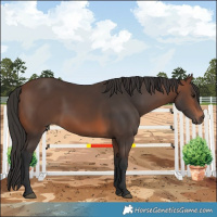 Horse Color:Brown 