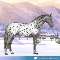 Horse Color:Liver Chestnut Tobiano Near Leopard 