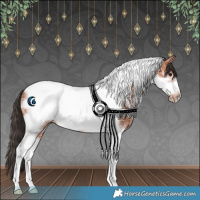 Horse Color:Bay Ice Tobiano Frame 