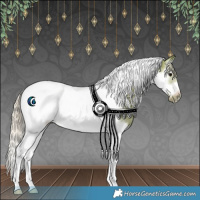 Horse Color:Watercolor Silver Black Ice Splash Tobiano Frame Rabicano 