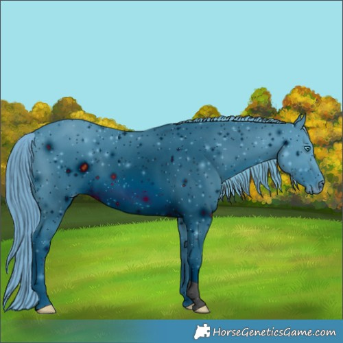 Horse Color:ERROR: UNKNOWN ANOMALY