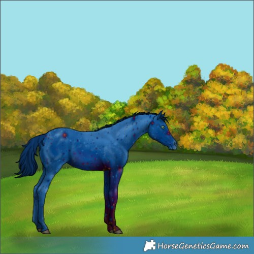 Horse Color:ERROR: UNKNOWN ANOMALY