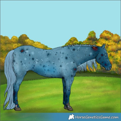 Horse Color:ERROR: UNKNOWN ANOMALY