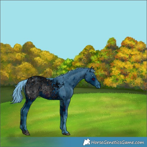Horse Color:ERROR: UNKNOWN ANOMALY