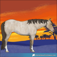 Horse Color:Classic Cream Champagne Roan