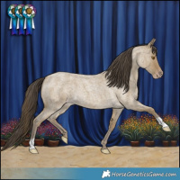 Horse Color:Classic Cream Champagne Roan 