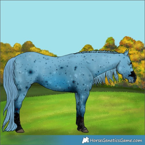 Horse Color:ERROR: UNKNOWN ANOMALY