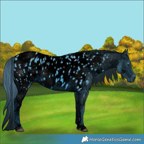 Horse Color:ERROR: UNKNOWN ANOMALY