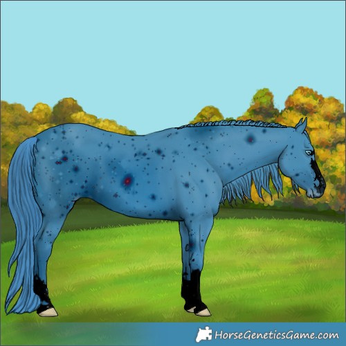Horse Color:ERROR: UNKNOWN ANOMALY