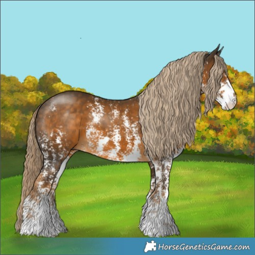 Horse Color:Chocolate Palomino Mushroom Sabino Rabicano 