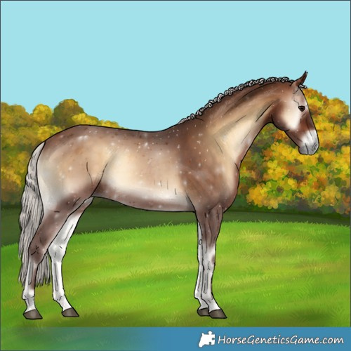 Horse Color:Silver Brown Onyx 