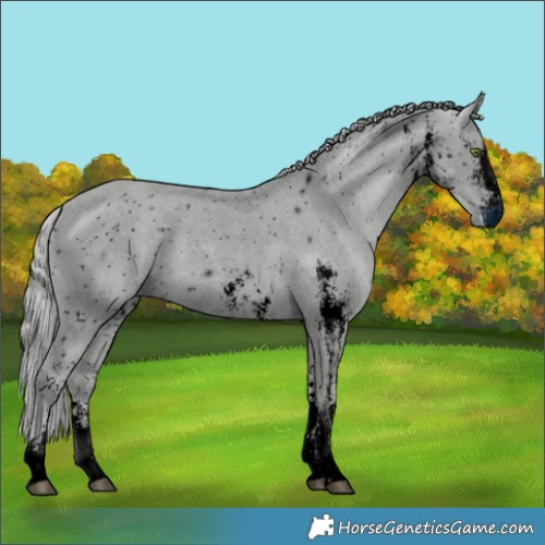 Horse Color:ERROR: UNKNOWN ANOMALY