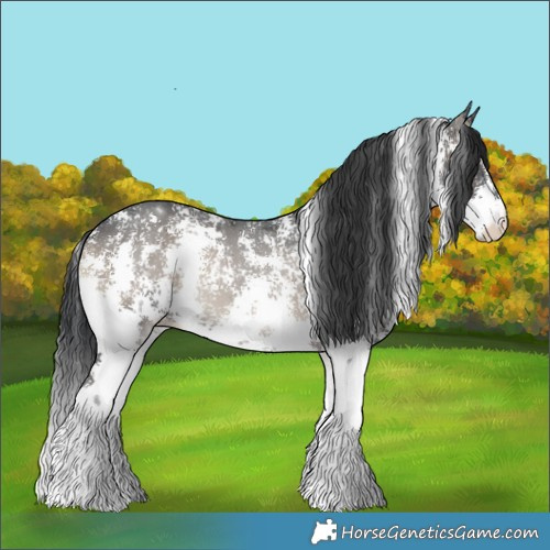 Horse Color:Blue Onyx Sabino 