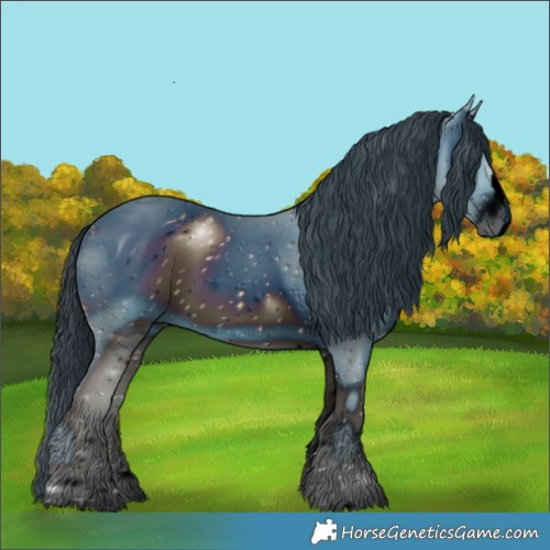 Horse Color:ERROR: UNKNOWN ANOMALY
