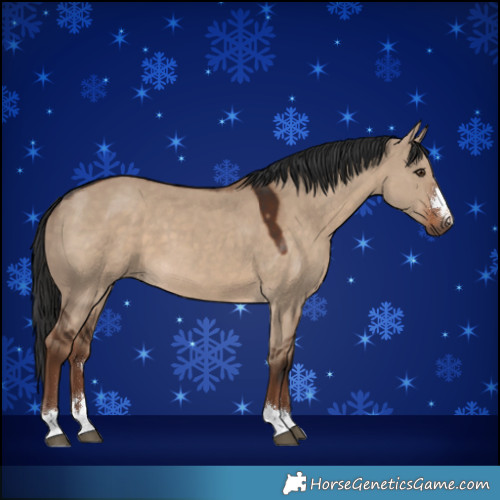 Horse Color:Liver Red Dun