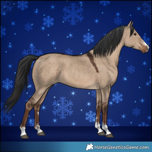 Horse Color:Liver Red Dun