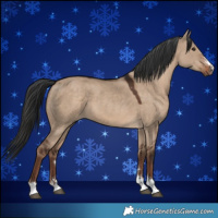 Horse Color:Liver Red Dun 
