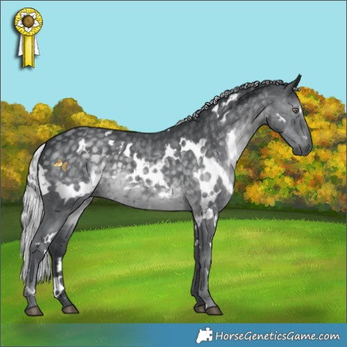 Horse Color:White Spotted Silver Black Chinchilla 