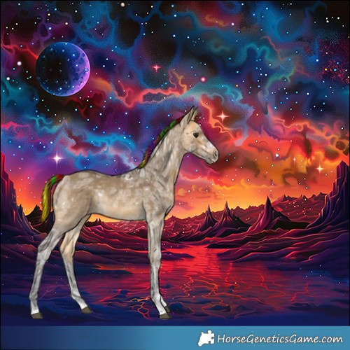 Horse Color:Painted Buckskin Ice Dun 