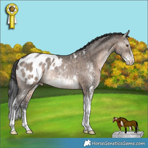 Horse Color:Brown Dun Sabino Tobiano Appaloosa Rabicano 