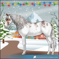 Horse Color:White Spotted Silver Bay