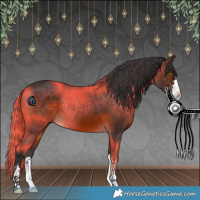 Horse Color:Brown 