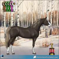 Horse Color:Liver Chestnut Splash Rabicano 