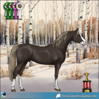 Horse Color:Liver Chestnut Splash Rabicano