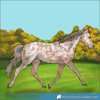 Horse Color:Chestnut Ice 