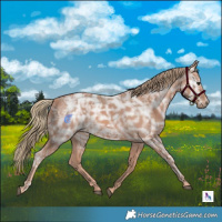 Horse Color:Chestnut Ice 