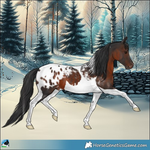 Horse Color:Brown Mushroom Tobiano Blanket 