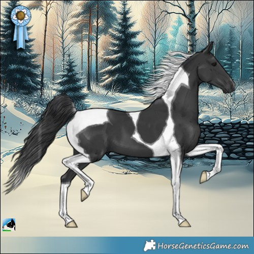 Horse Color:Black Mushroom Tobiano 