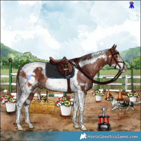 Horse Color:White Spotted Chocolate Bay Tobiano Frame 