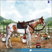 Horse Color:White Spotted Chocolate Bay Tobiano Frame 