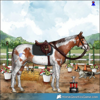Horse Color:White Spotted Chocolate Bay Tobiano Frame