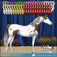 Horse Color:Bay Splash Tobiano Rabicano