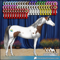 Horse Color:Bay Splash Tobiano Rabicano 