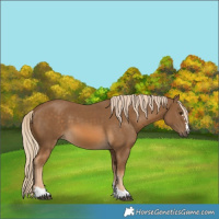 Horse Color:Chocolate Palomino 
