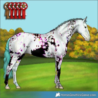 Horse Color:Watercolor White Spotted Brown Ice 