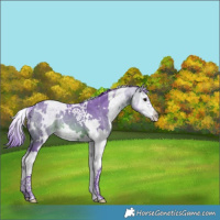 Horse Color:Watercolor White Spotted Brown Ice Splash 