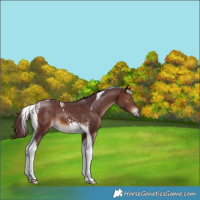 Horse Color:Chocolate Brown Tobiano 
