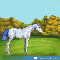 Horse Color:Watercolor White Spotted Black Ice Splash 