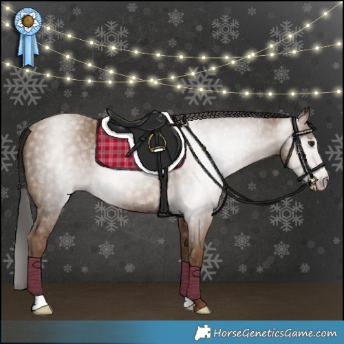 Horse Color:Gray Classic Champagne 