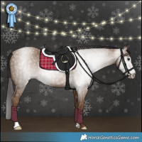 Horse Color:Gray Classic Champagne 