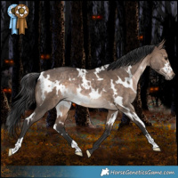 Horse Color:White Spotted Brown Dun Rabicano 