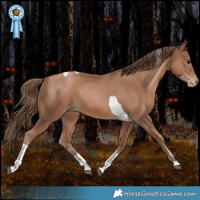 Horse Color:Black Pearl Tobiano Rabicano 